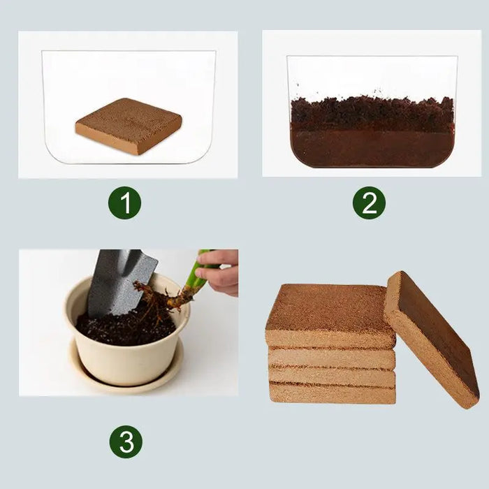 Premium Organic Coconut Coir Bricks for Plants