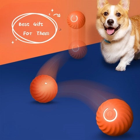 Durable Rubber Dog Ball Toy