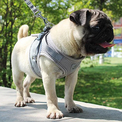 Net Mesh Quick Fit Dog Harness