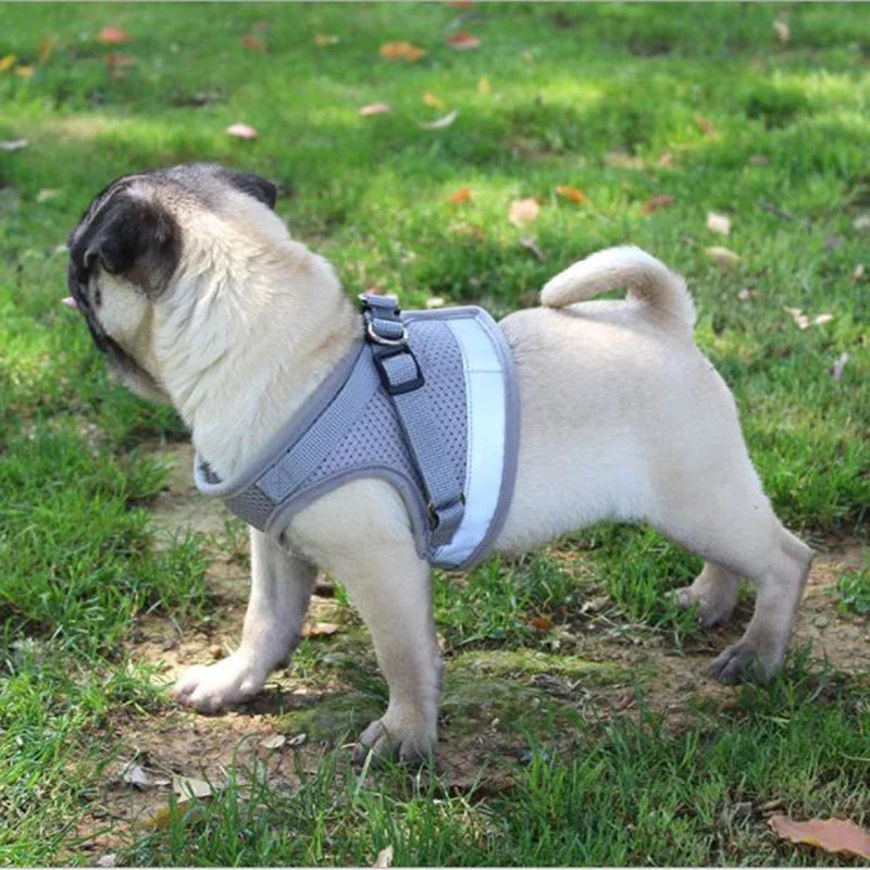 Net Mesh Quick Fit Dog Harness