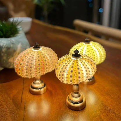 DIY Sea Urchin Night Light