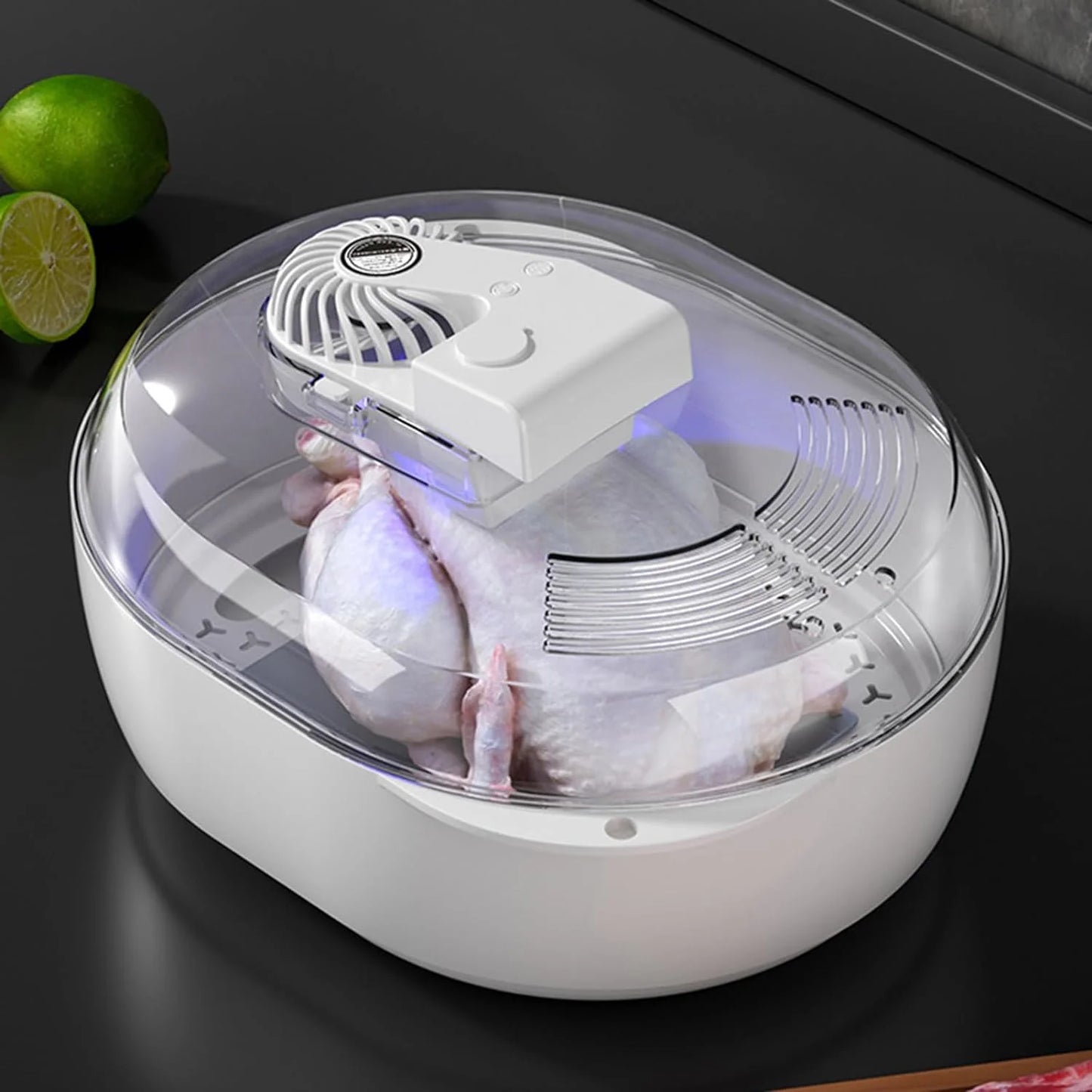 Food Preservation Defroster