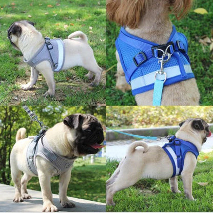 Net Mesh Quick Fit Dog Harness