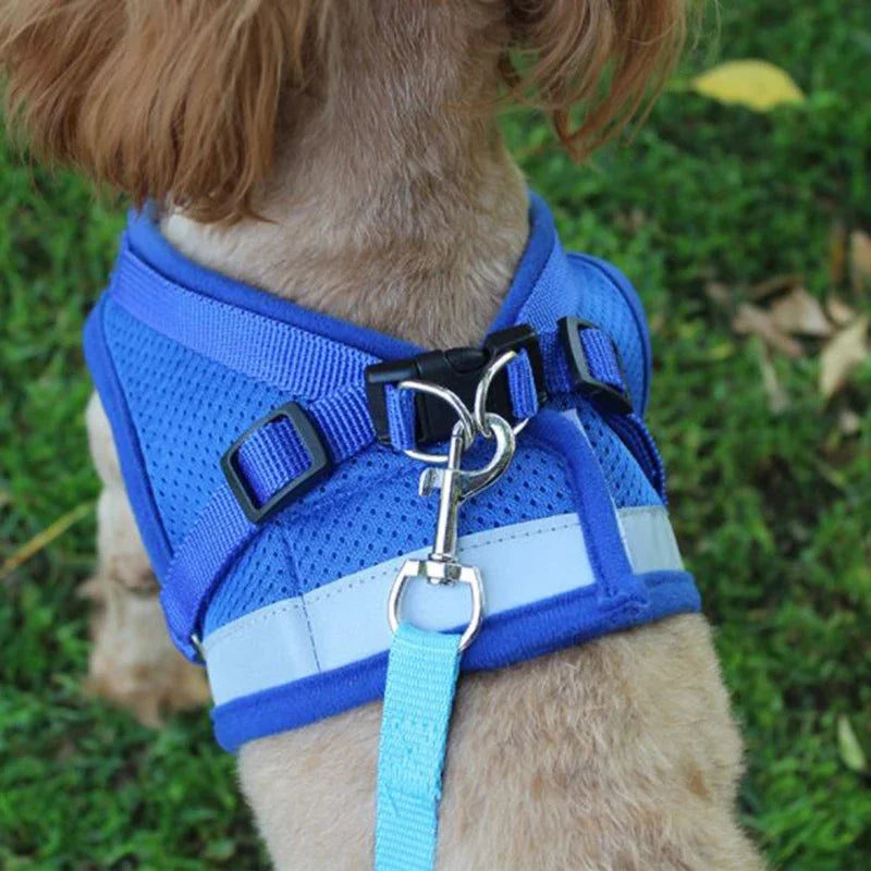 Net Mesh Quick Fit Dog Harness