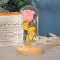 Valentine's LED Rose Light