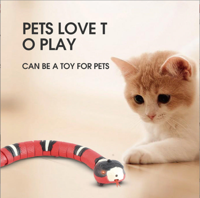 Magic Snake Smart Toys For Cats